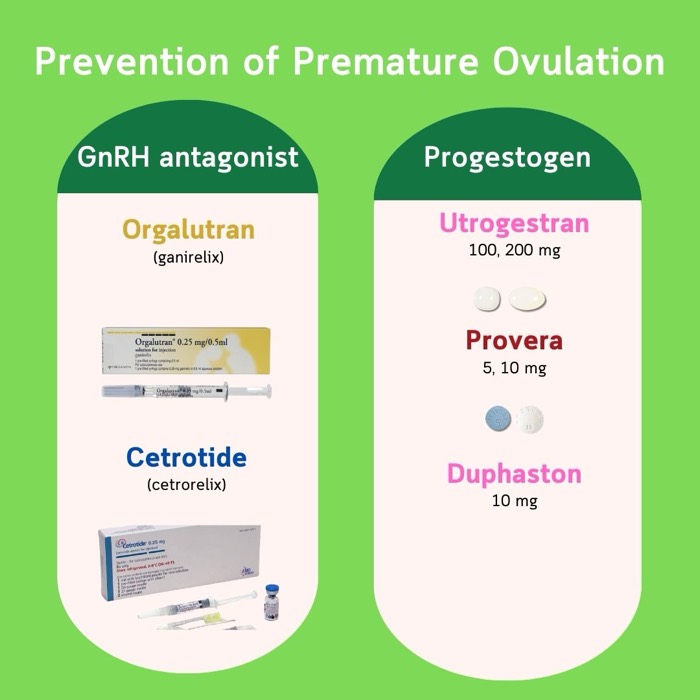 Pencegahan ovulasi prematur — antagonis GnRH (Orgalutran, Cetrotide) dan progestogen (Utrogestran, Provera, Duphaston)