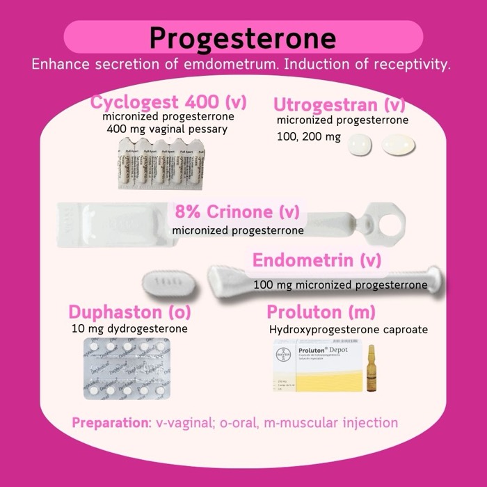 Progesteron untuk persiapan dan dukungan endometrium — Cyclogest, Utrogestran, Endometrin, Crinone, Duphaston, Proluton